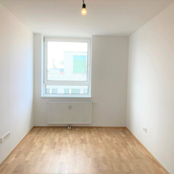 Blick auf die Donau - traumhafte 2-Zimmer-Wohnung! - Foto 1