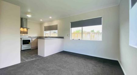 Renovated Gem In Pukekohe - Photo 4