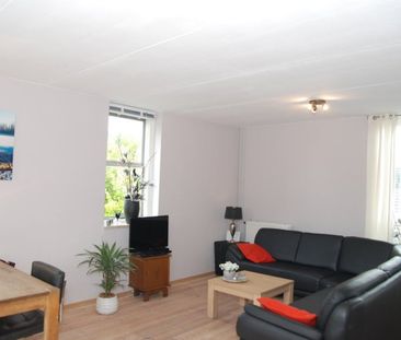 Goudmos 174 - Foto 6