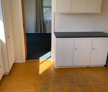 Central 3BR fully fenced home with sunroom - Photo 1