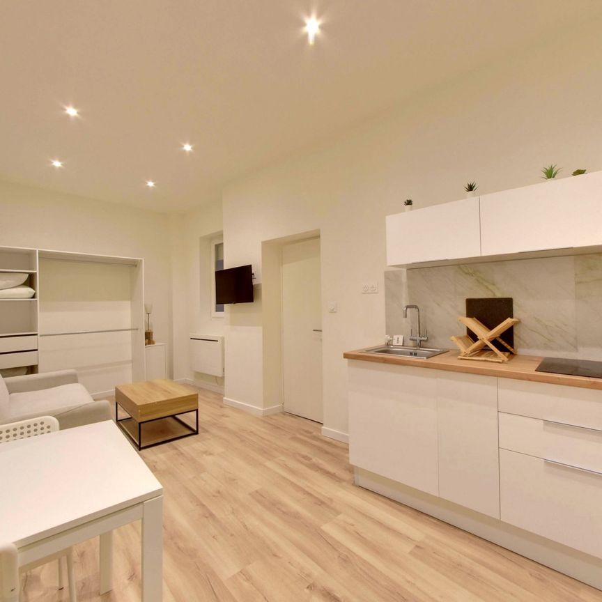Location Appartement 1 pièce 19m² GRENOBLE 38000 - Photo 1