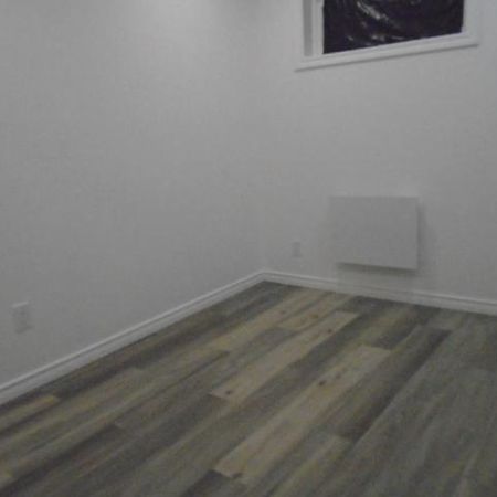 4 ½ rue Drapeau RÉNOVÉ Montréal LIBRE - Photo 4