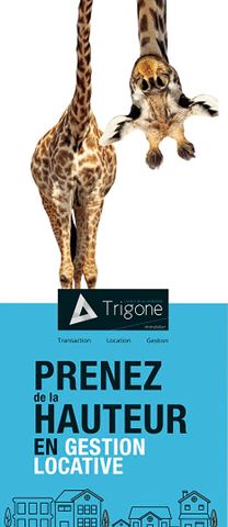 Location Appartement 2 pièces 46m² - Photo 4