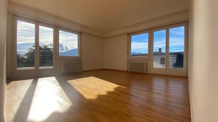 À saisir ! Appartement de charme dans les hauts de Vevey ! - Photo 3