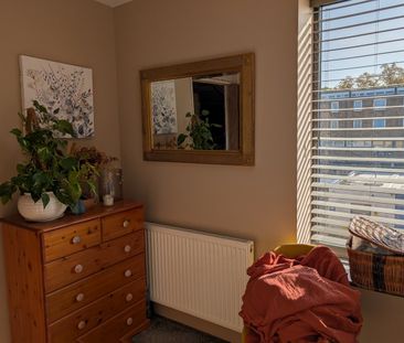 Room in a Shared Flat, Tulse Hill, SW2 - Photo 5