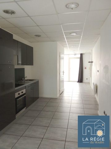 Location Appartement 1 pièce 48m² CHIRENS 38850 - Photo 2