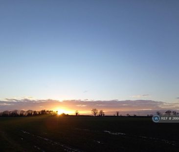 2 bedroom mobile home to rent - Photo 6