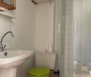 Location Appartement 1 pièce 14m² - Photo 3