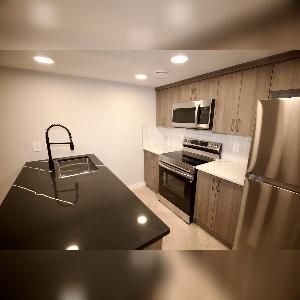 1 Bed 1 Bath Suite SE Edmonton Mattson - Photo 4