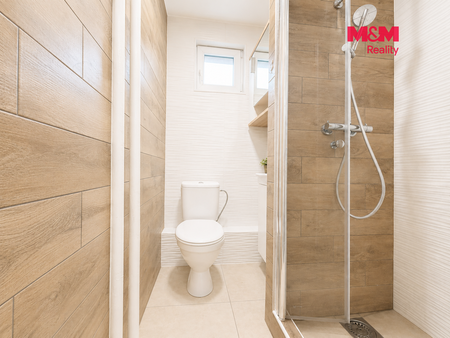 Pronájem bytu 1+kk a garsoniéry 27 m² - Fotografie 3