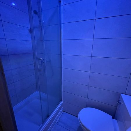 Room in a Shared House, Mitford Place, LS12 - Photo 4