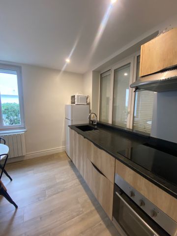 Location Appartement 1 pièce 26m² BRIGNAIS 69530 - Photo 3