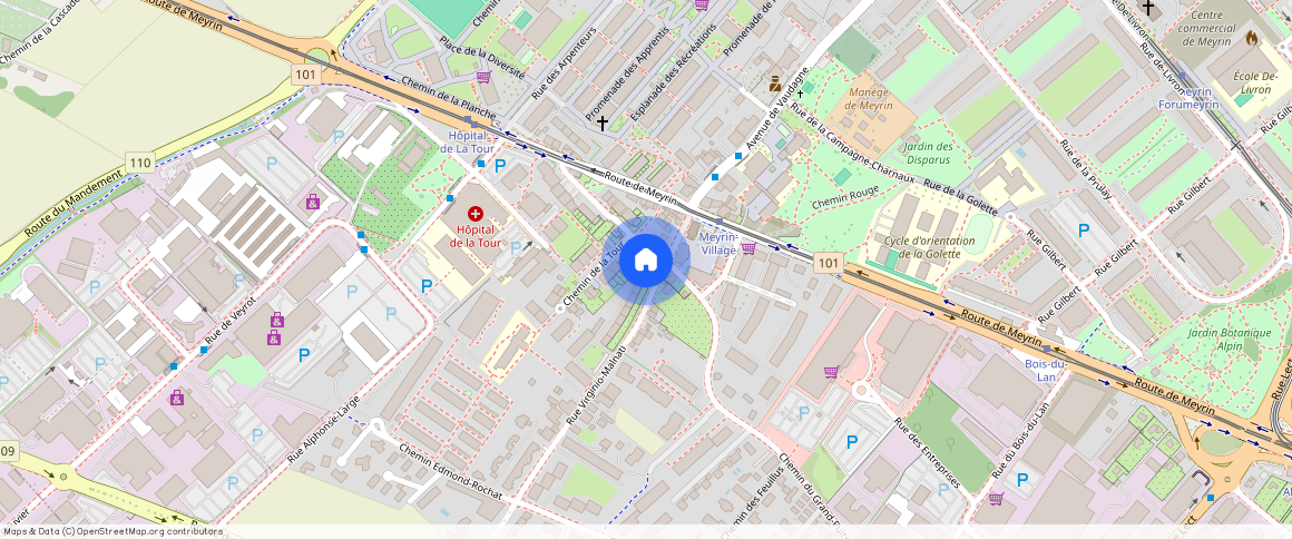 1217 Meyrin, Rive Droite (Campagne)