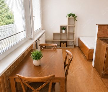 Pronájem bytu 1+kk 41 m² - Photo 6