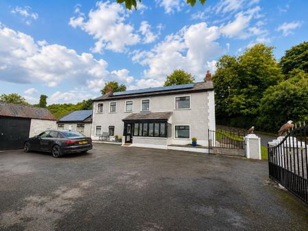 Room 2, 9 Ivy Hill, Derriaghy, Lisburn, BT28 3SL - Photo 3