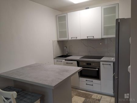 MIESZKANIE na WYNAJEM - Photo 2