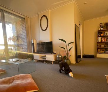 Waverton - Photo 4