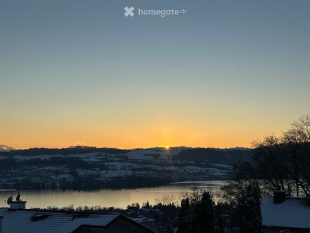 Single house in Uetikon am See - Photo 5