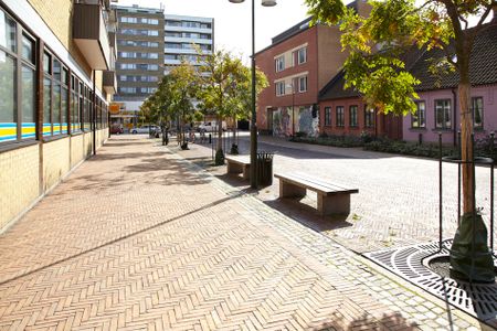 Fricksgatan 4, Möllevången - Foto 5