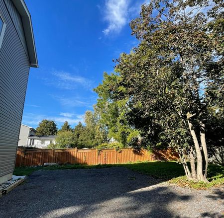 For Lease - 1119 King Street Unit# LOWER, Whitby, Ontario - Photo 5