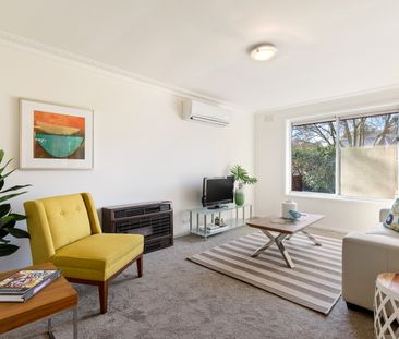 1/24 Suffolk Rd, Surrey Hills VIC 3127 - Villa For Rent | Domain - Photo 5