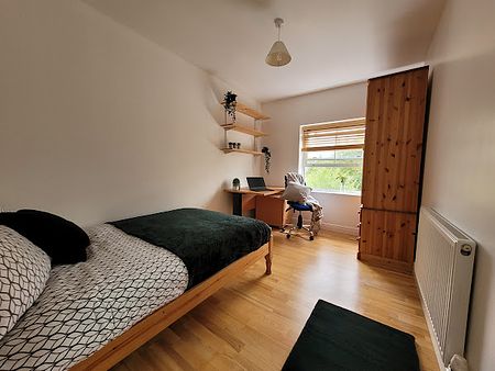 Room 10 Available, Riverside En Suite, 11 Bedroom House, Willowbank Mews – Student Accommodation Coventry - Photo 3