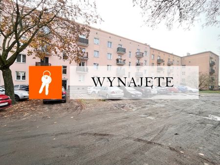 przytulne mieszkanie na wynajem, Niemcewicza - Zdjęcie 3