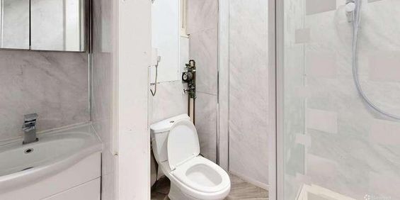 Goswell Road, Clarkenwell, EC1V - Photo 3
