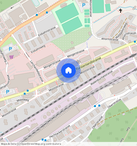 Fürstenlandstrasse 121, 9000, St. Gallen