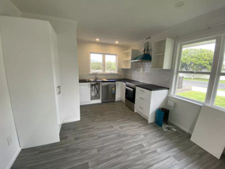 FULLY RENOVATED TWO BEDROOM UNIT - Photo 5