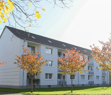 Schöne 2,5 Zimmer Wohnung in Röttgersbach - Photo 1