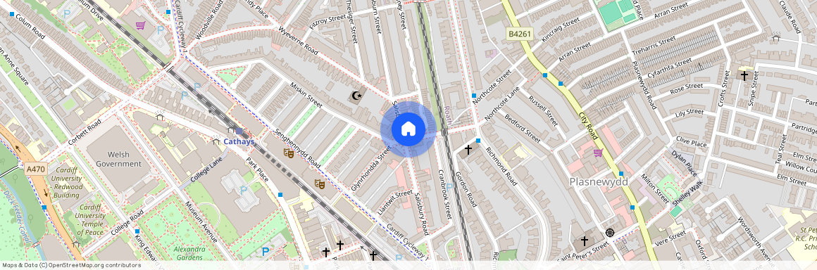 alisbury Road, CF24 4AE, Cathays