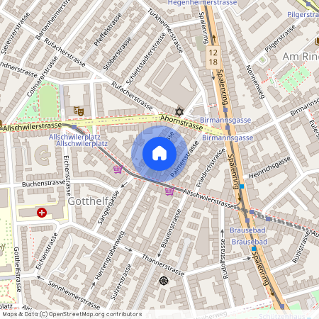 Birkenstrasse 39, 4055 Basel