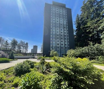 Updated and Bright Corner Unit Two Bedroom in Convenient Lougheed Area - Photo 1