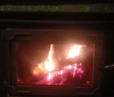 Carlingford - Photo 1