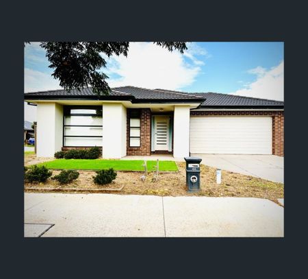 44 Coltan Avenue, Cobblebank, Vic 3338 - Photo 5