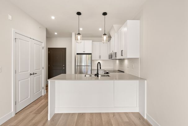 YEARLING - 306 - YE306 - Photo 1