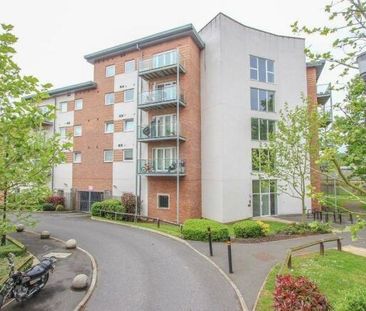 Observer Drive, Watford - Photo 4