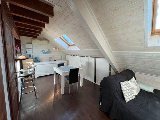 Location Appartement 1 pièce 18m² AIX LES BAINS 73100 - Photo 1