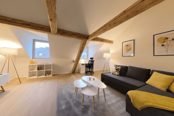 Spacious 1bedroom furnished apartment in central Neuchatel - Utilities Included - Photo 1