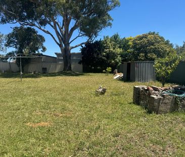 View Saturday at 9.20am - 9.40am - Photo 2