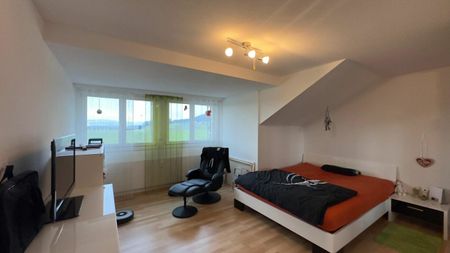 Komfortable 2 1/2-Zimmer-Dachwohnung für Singles oder Paare - Photo 2