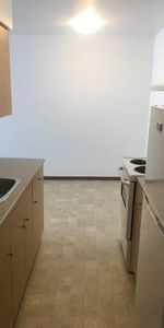 Metrotown | Renovated Bright and Sunny Garden-level 1 Bedroom/1Bath - Photo 3