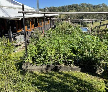 Acreage Living At Its Absolute Finest - Photo 2