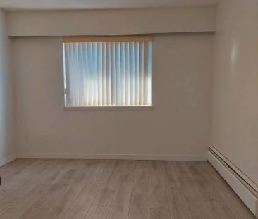 Villa Katya — 1 Bedroom - Photo 4