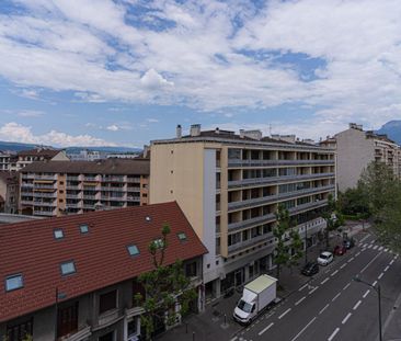 Location Appartement 2 pièces Meublé 51m² ANNECY 74000 - Photo 6