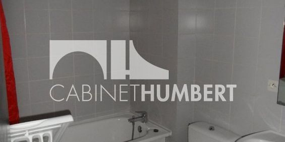 Location Appartement 1 pièce 31m² ST ETIENNE 42000 - Photo 3