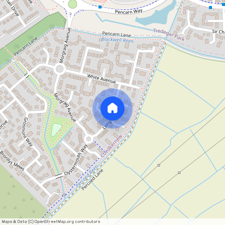 Longtown Grove, Newport