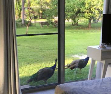 White Rock - Photo 1