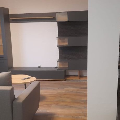 Casa P+M de inchiriat Clinceni Put Olteni - Fotografie 1